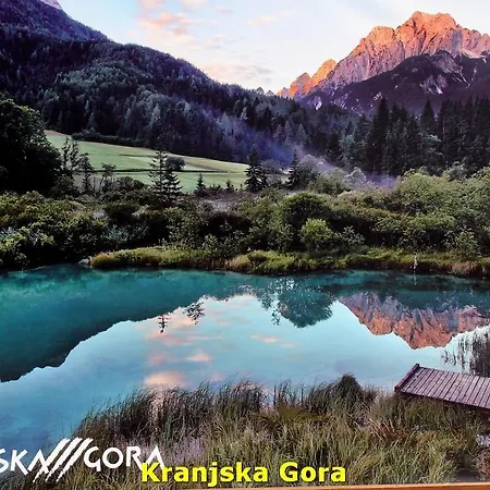 Casa vacanze Kwo-villa 46-ok The Comfort Zone