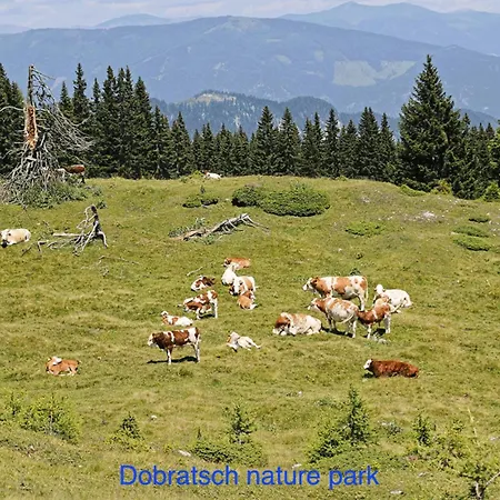 Casa vacanze Kwo-villa 46-ok The Comfort Zone *