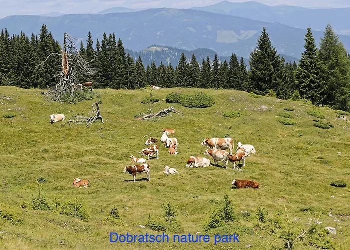 Holiday home Kwo-villa 46-ok The Comfort Zone *